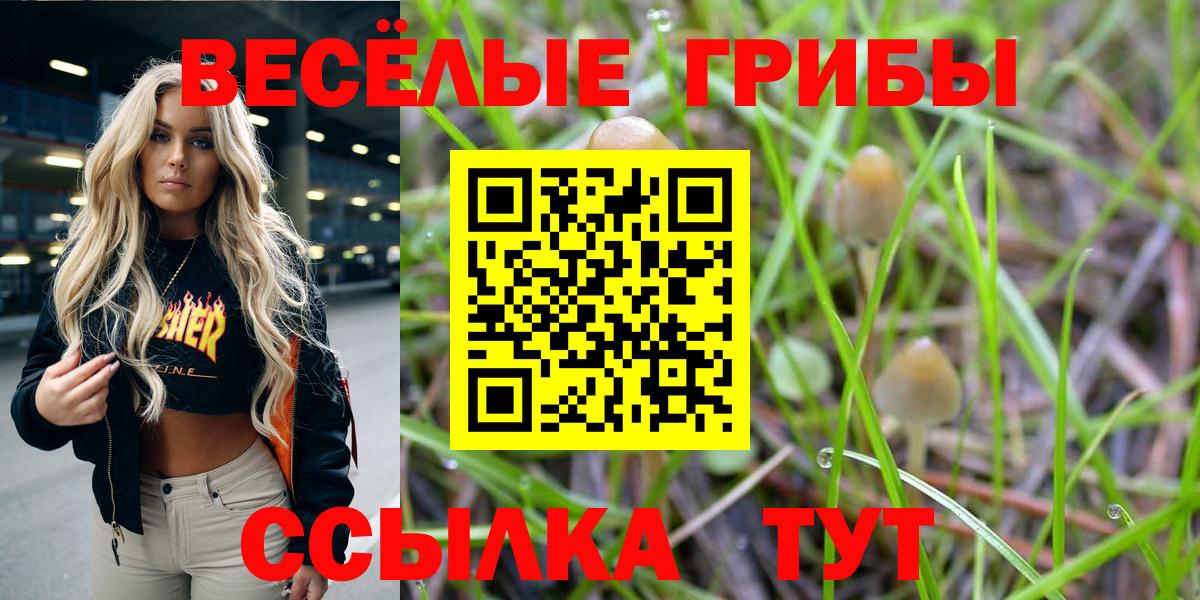 Галлюциногенные грибы Cubensis Большой Камень