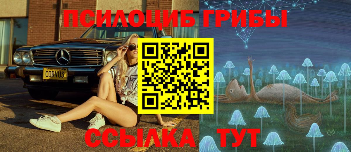 Псилоцибиновые грибы мухоморы  Вход с VPN  Большой Камень 